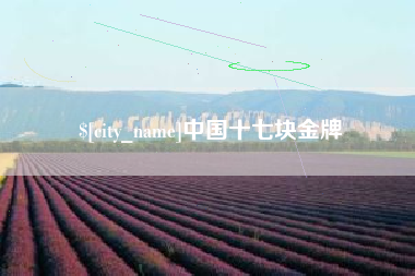 日照中国十七块金牌
