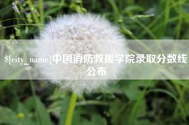 日照中国消防救援学院录取分数线公布