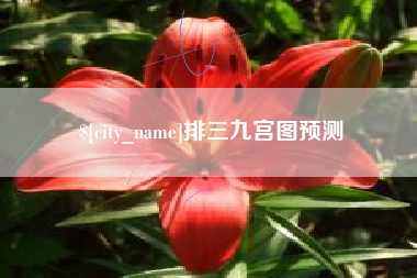 日照排三九宫图预测
