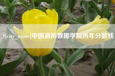 日照中国消防救援学院历年分数线