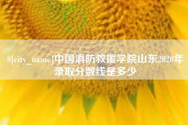 日照中国消防救援学院山东2020年录取分数线是多少