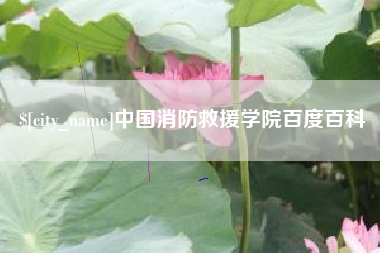 日照中国消防救援学院百度百科