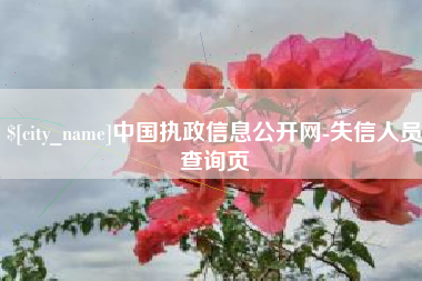 日照中国执政信息公开网-失信人员查询页