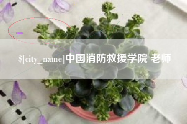日照中国消防救援学院 老师