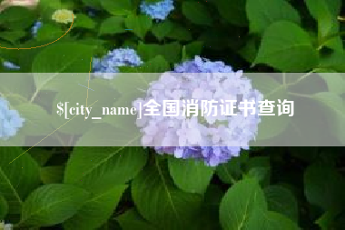 日照全国消防证书查询