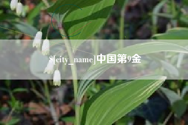 日照中国第9金