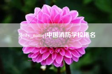 日照中国消防学校排名