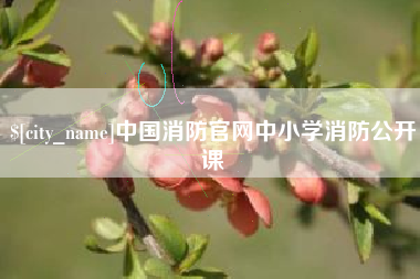 日照中国消防官网中小学消防公开课