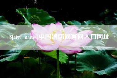 日照中国消防网官网入口网址
