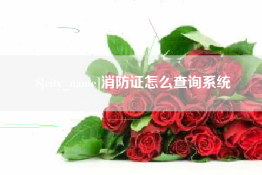 日照消防证怎么查询系统