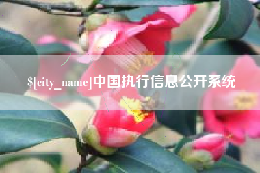 日照中国执行信息公开系统