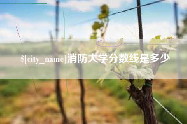 日照消防大学分数线是多少