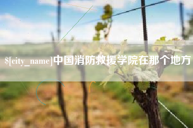 日照中国消防救援学院在那个地方