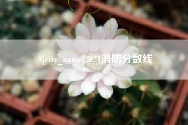 日照2021消防分数线