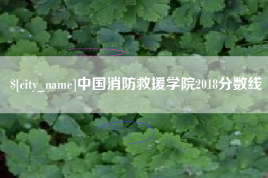 日照中国消防救援学院2018分数线