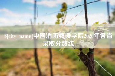 日照中国消防救援学院2020年各省录取分数线