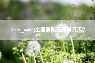 日照全国消防日是第几天？