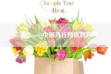 日照中国执行网信息官网