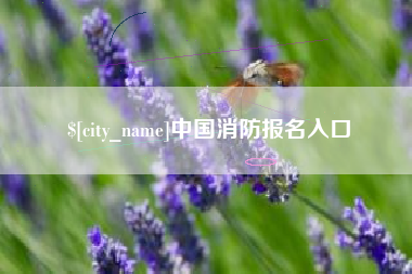日照中国消防报名入口