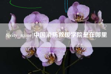 日照中国消防救援学院是在哪里