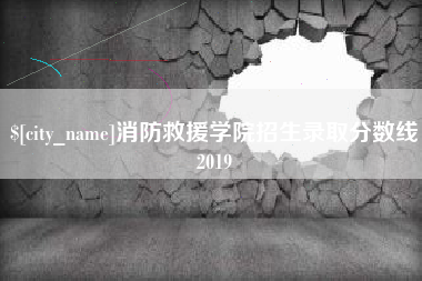 日照消防救援学院招生录取分数线2019