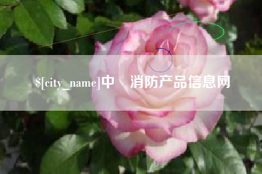 日照中囯消防产品信息网