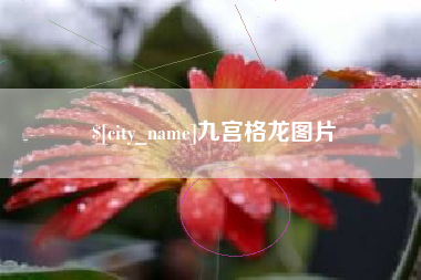 日照九宫格龙图片