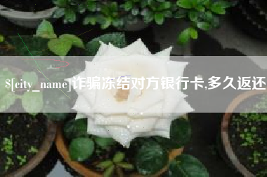 日照诈骗冻结对方银行卡,多久返还