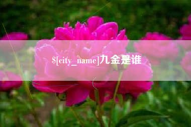 日照九金是谁