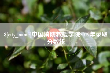 日照中国消防救援学院2019年录取分数线
