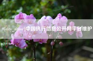 日照中国执行信息公开网平台维护
