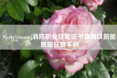 日照消防职业技能证书查询以前能查现在查不到