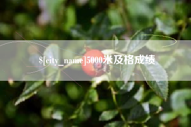 日照5000米及格成绩