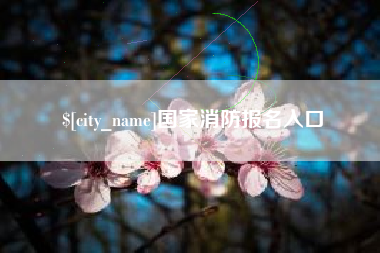 日照国家消防报名入口