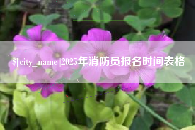 日照2025年消防员报名时间表格