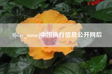日照中国执行信息公开网后