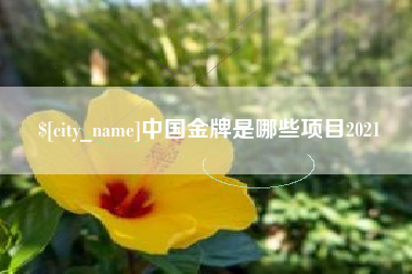 日照中国金牌是哪些项目2021