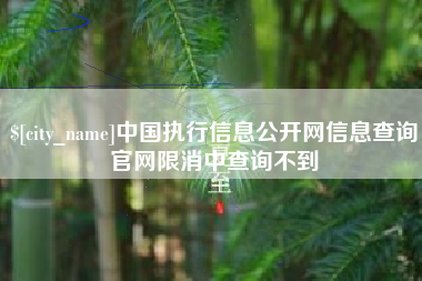 日照中国执行信息公开网信息查询官网限消中查询不到