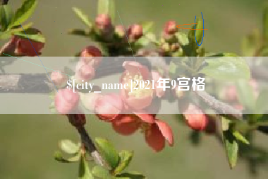日照2021年9宫格