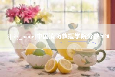 日照中国消防救援学院分数2020
