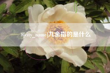 日照九金指的是什么