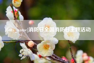 日照消防日全国消防日主题活动