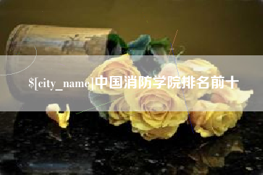日照中国消防学院排名前十