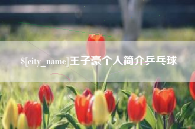 日照王子豪个人简介乒乓球