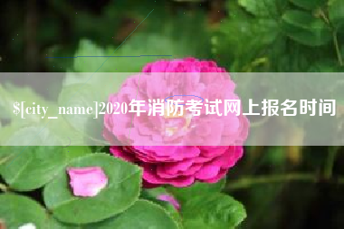 日照2020年消防考试网上报名时间