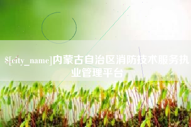 日照内蒙古自治区消防技术服务执业管理平台