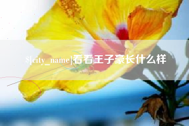 日照看看王子豪长什么样