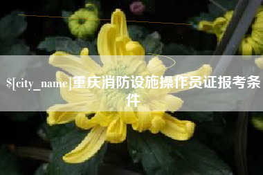 日照重庆消防设施操作员证报考条件