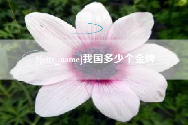 日照我国多少个金牌