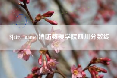 日照消防救援学院四川分数线